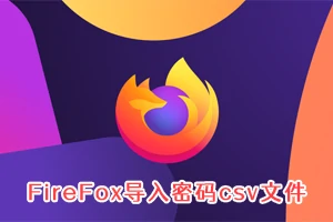 FireFox火狐浏览器导入密码csv文件的方法