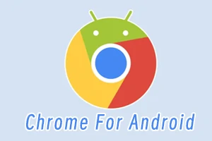 Chrome谷歌浏览器安卓版 APK安装包下载 华为鸿蒙手机可正常安装使用